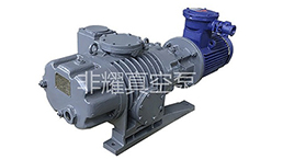 10年真空泵廠家和你聊聊羅茨真空泵